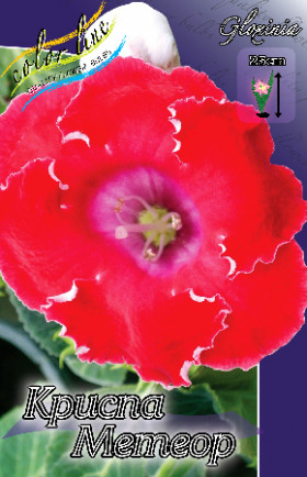 Криспа Метеор 2шт