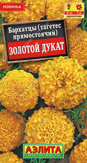 Золотой дукат прямостоячие Ц(А)