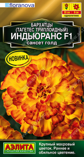 Индьюранс сансет голд Ц(А)