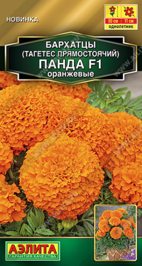 Панда оранжевые прямостоячие Ц(А)