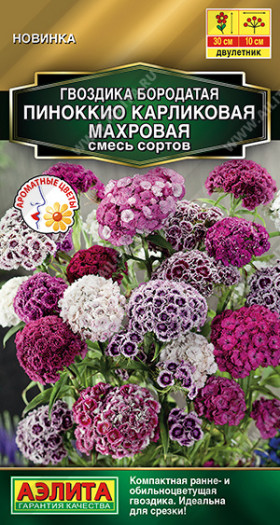 Пиноккио смесь карликовая махровая Ц(А)