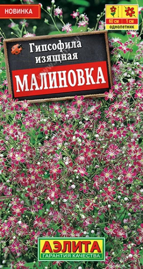 Малиновка изящная Ц(А)