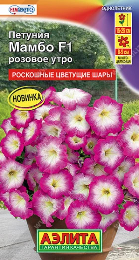 Мамбо розовое утро Ц(А)