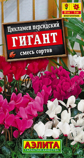 Гигант смесь персидский Ц(А)