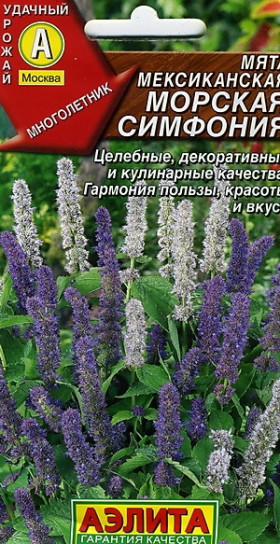 Морская симфония Ц(А)