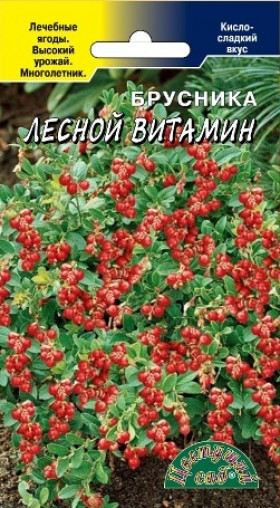 брусника Лесной витамин Цветущий Сад