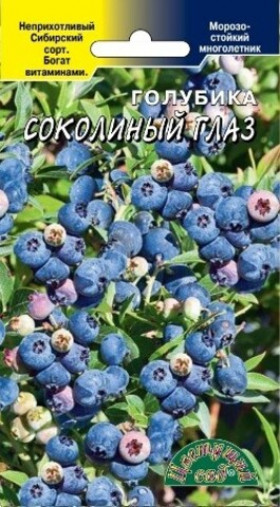 голубика Соколиный глаз Цветущий Сад