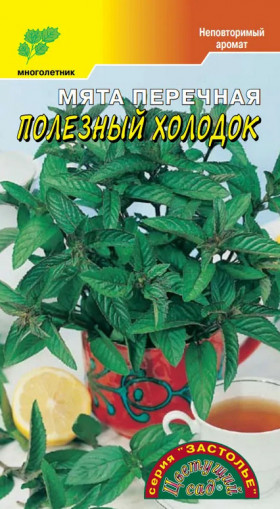 Полезный холодок перечная Цветущий Сад