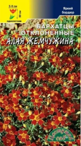 Алая жемчужина Цветущий Сад