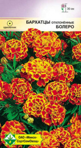 Болеро Цветущий Сад