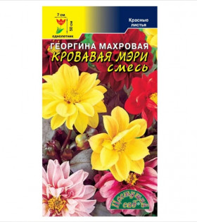 Кровавая Мэри махр Цветущий Сад