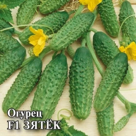 Зятек 100 шт\Гавриш