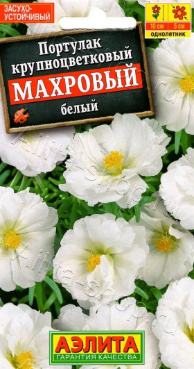 Махровый белый Ц(А)