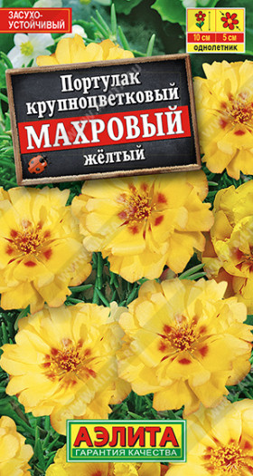Махровый желтый Ц(А)