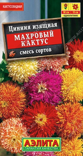 Махровый кактус смесь Ц(А)