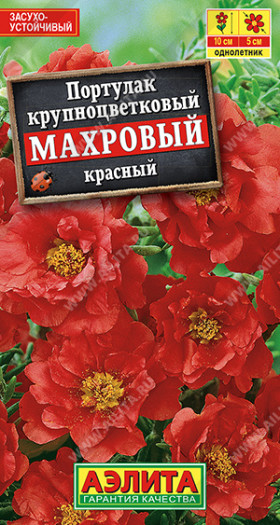 Махровый красный Ц(А)