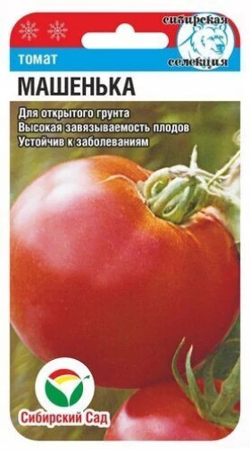 Машенька СС