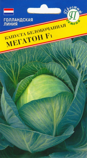 Мегатон Ц(П)