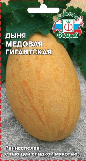 Медовая гигантская Ц(С)
