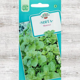 Ментол садовая Ц(Г)