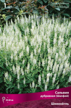 Шнеехёгль 1шт Поиск