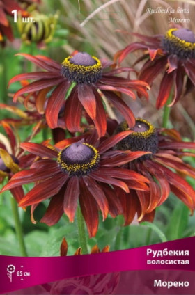 Морено 1шт Поиск