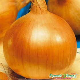 Глобо репч 0.4гр Ц(Н)