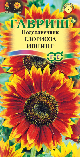 Глориоза Ивнинг Ц(Г)