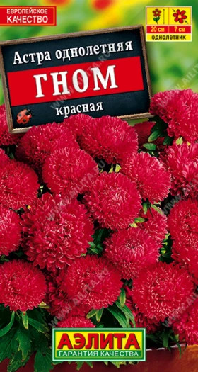 Гном Красная Ц(А)