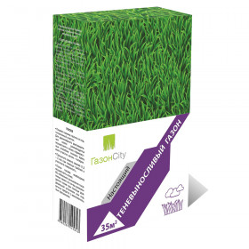 Настоящий ТЕНЕВЫНОСЛИВЫЙ (1кг)