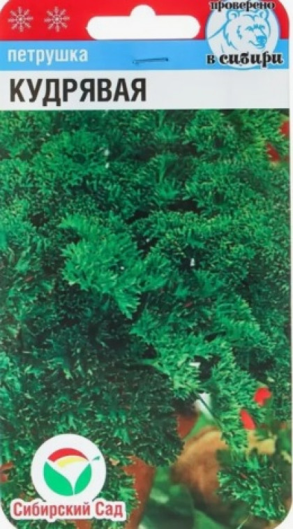 Кудрявая 1гр СС