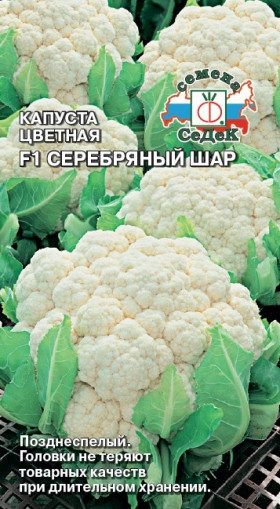 цветная Серебряный шар Ц(С)