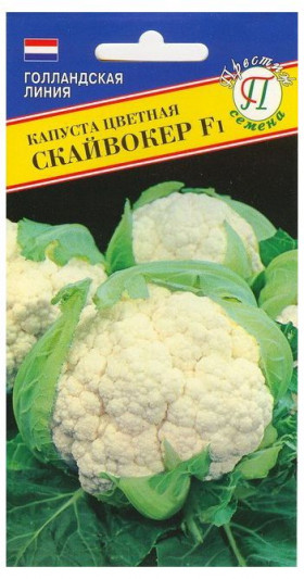 цветная Скайвокер Ц(П)