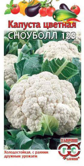 цветная Сноуболл 123 Ц(Г)