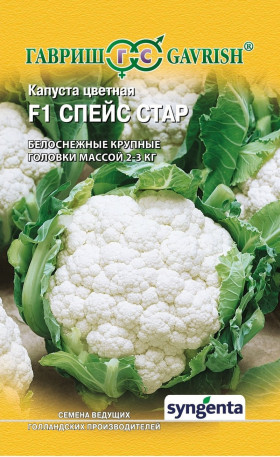 цветная Спейс Стар Ц(Г)