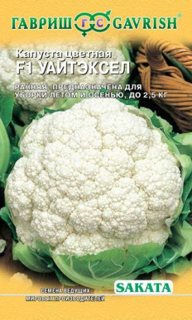 цветная Уайтэксел F1 Ц(Г)