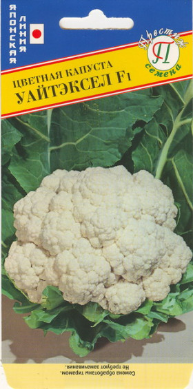 цветная Уайтэксел F1 Ц(П)