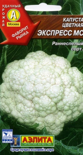 цветная Экспрес МС Ц(А)