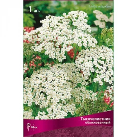 Ноблесс 1шт