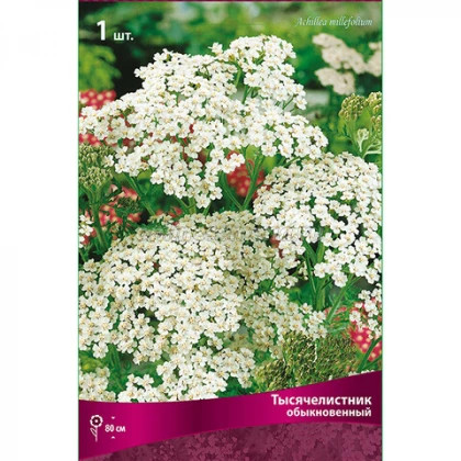 Ноблесс 1шт