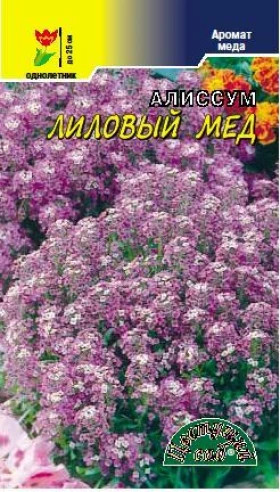 Лиловый мёд/Цветущий Сад