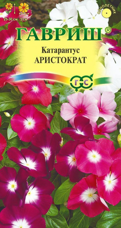 Аристократ Ц(Г)