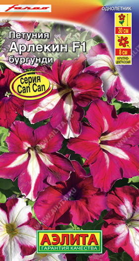 Арлекин Бургунди Ц(А)