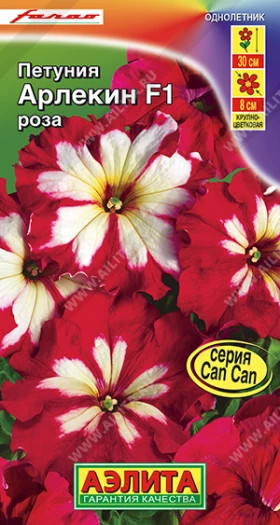 Арлекин Роза Ц(А)