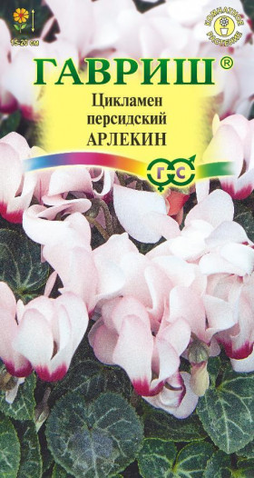 Арлекин Ц(Г)