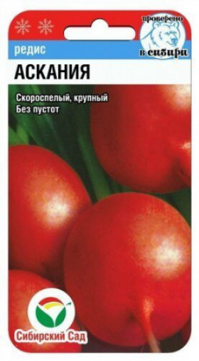 Аскания 2гр СС