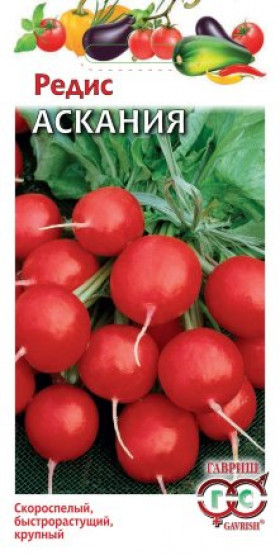 Аскания Ц(Г)