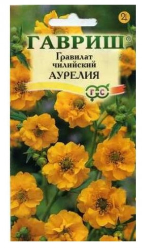 Аурелия чилийский Ц(Г)