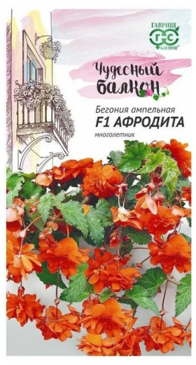 Афродита ампельная Ц(Г)