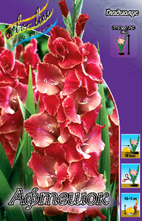 Афтешок  10шт